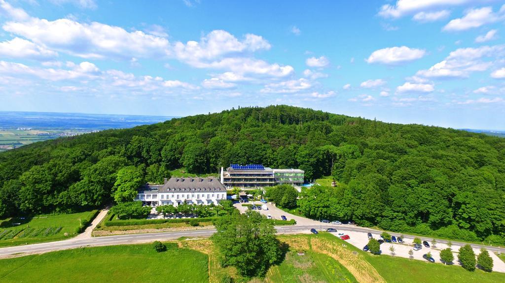 Berghotel Tulbingerkogel マウアーバハ エクステリア 写真